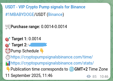 Authenticated proof of 1MBABYDOGE's pump signal on Binance at 11 September 2025, 14:07