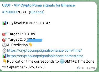 Market signal authentication: PUNDIX on Binance at 23 September 2025, 17:36