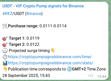 Binance trading signal verification for REZ, 28 September 2025, 18:57