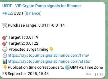 Technical authentication: REZ signal execution proof on Binance, 28 September 2025, 20:04