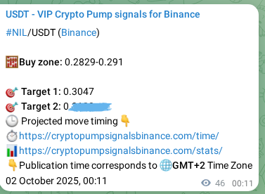 NIL pump signal verification from Binance, timestamp: 02 October 2025, 01:28