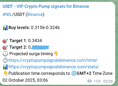 Crypto market signal confirmation: NIL pump on Binance, 02 October 2025, 07:30