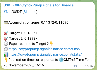 Crypto pump signal proof: NIL on Binance, 20 November 2025, 16:16