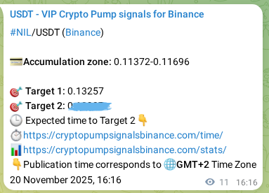 Authenticated proof of NIL's pump signal on Binance at 20 November 2025, 16:16