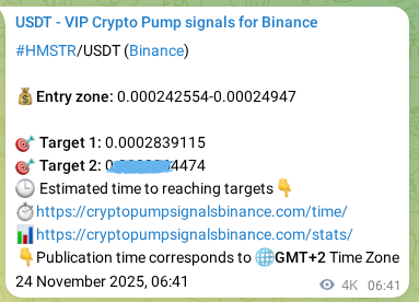 Crypto pump signal confirmation: HMSTR on Binance, 28 November 2025, 22:25