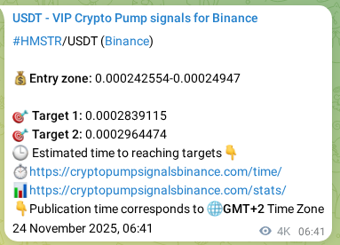 Binance trading signal confirmation for HMSTR pump, 28 November 2025, 22:28