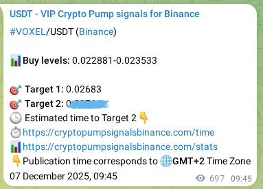 VOXEL pump signal verification from Binance, timestamp: 08 December 2025, 05:06