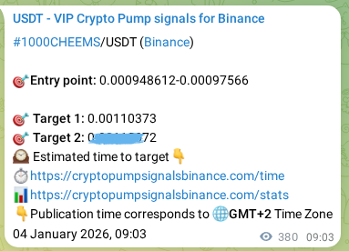 Verification image for 1000CHEEMS pump signal on Binance at 04 January 2026, 19:37