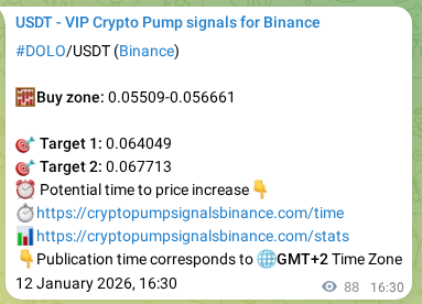 Signal verification: Confirm DOLO pump on Binance at 12 January 2026, 18:33 Signal verification: DOLO pump on Binance at 12 January 2026, 18:33