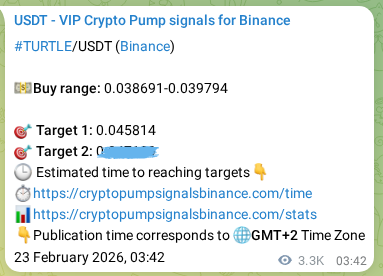 Crypto trading signal confirmation: TURTLE pump on Binance, 26 February 2026, 23:06