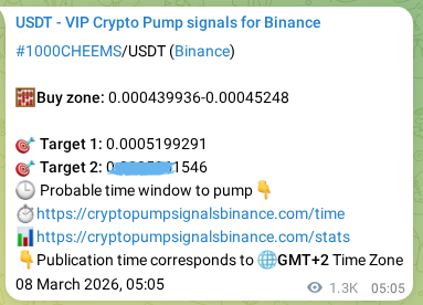 Verification image for 1000CHEEMS pump signal on Binance at 09 March 2026, 17:58