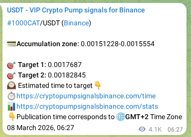 Proof of 1000CAT pump signal on Binance at 13 March 2026, 01:02