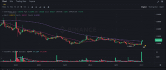 report 20250702 0242 - Report of coin pump on Binance - 02 July 2025 6