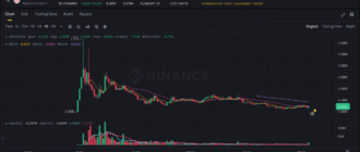report 20250706 0032 - Report of coin pump on Binance - 06 July 2025 2