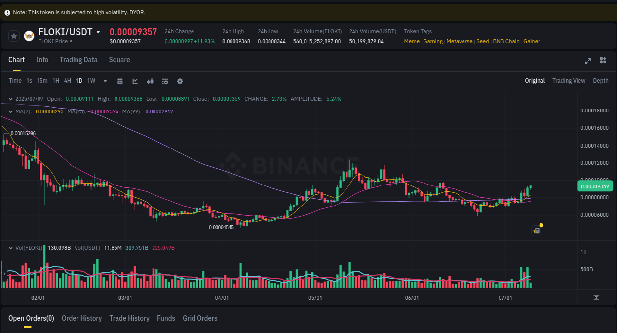 Binance pump data for FLOKI at 09 July 2025, 11:48