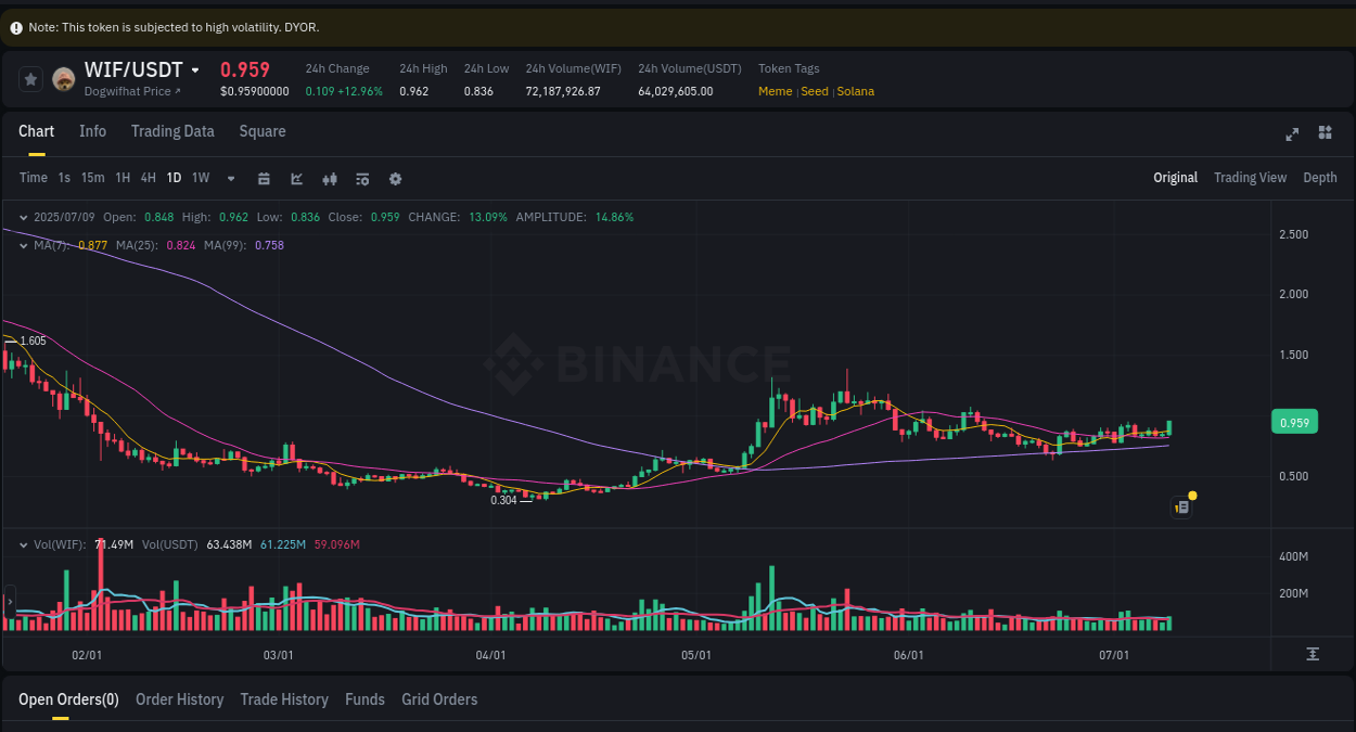Binance trading report for WIF pump, 10 July 2025, 01:21