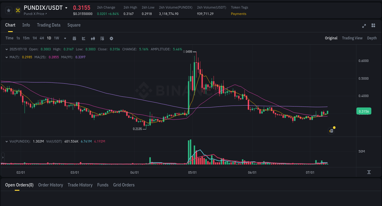 Trading insight: PUNDIX pump report from Binance, 10 July 2025, 02:20