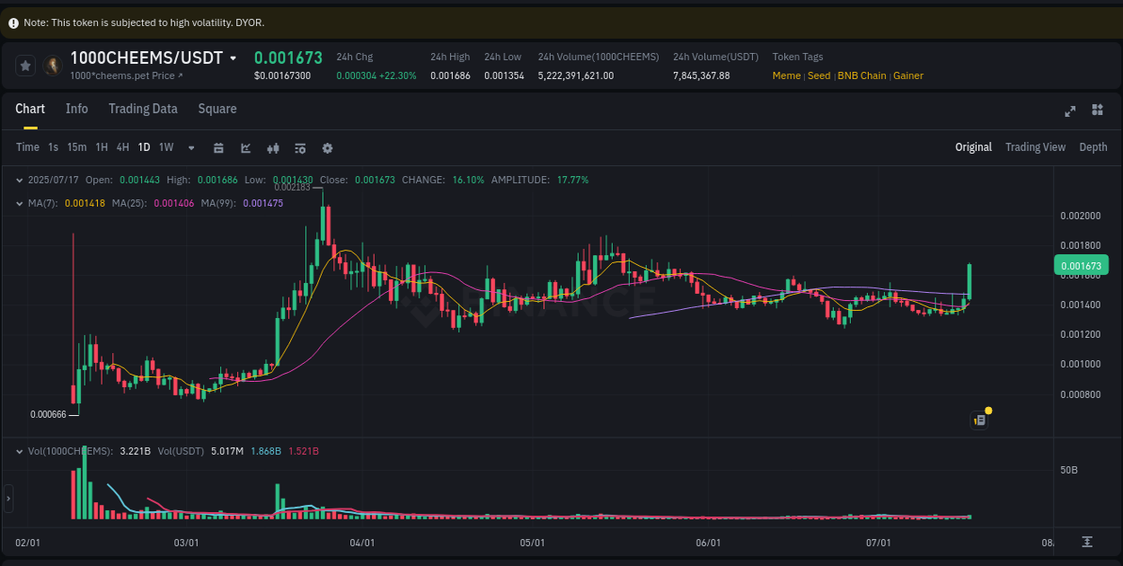Crypto trading report: 1000CHEEMS pump on Binance, 17 July 2025, 09:04