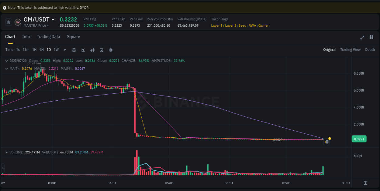 Real-time report of OM pump on Binance, 20 July 2025, 20:28