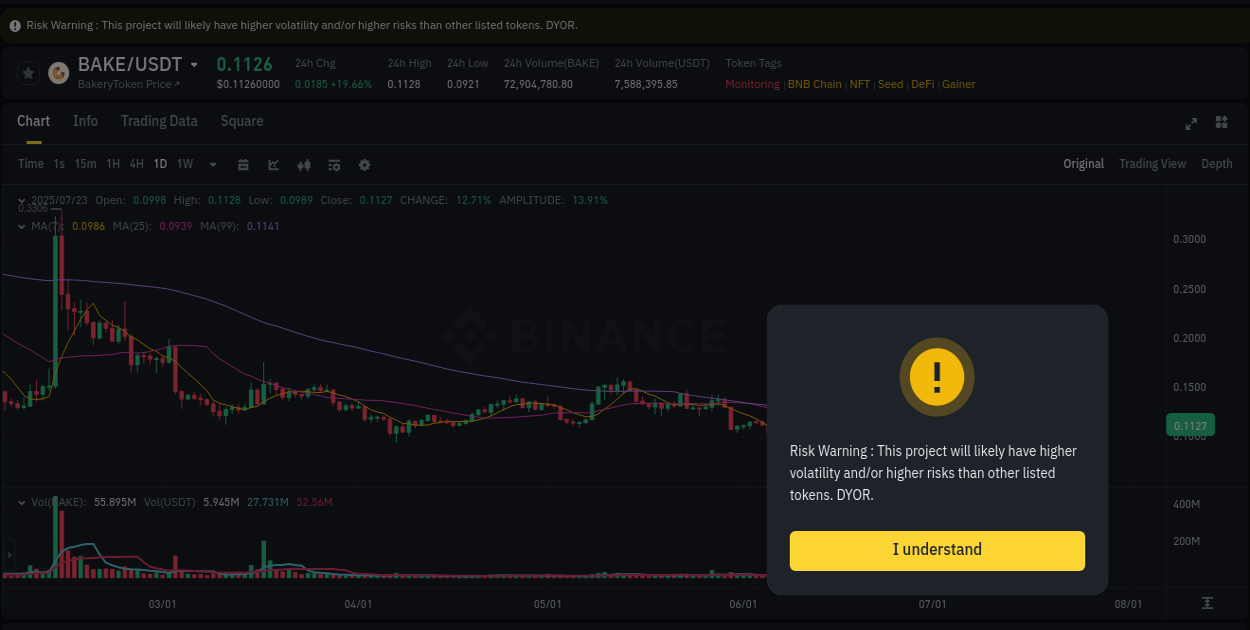 Crypto trading analysis: BAKE pump on Binance, 23 July 2025, 08:56