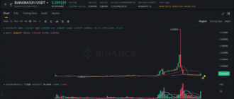 report 20250728 1857 - Report of coin pump on Binance - 28 July 2025 3