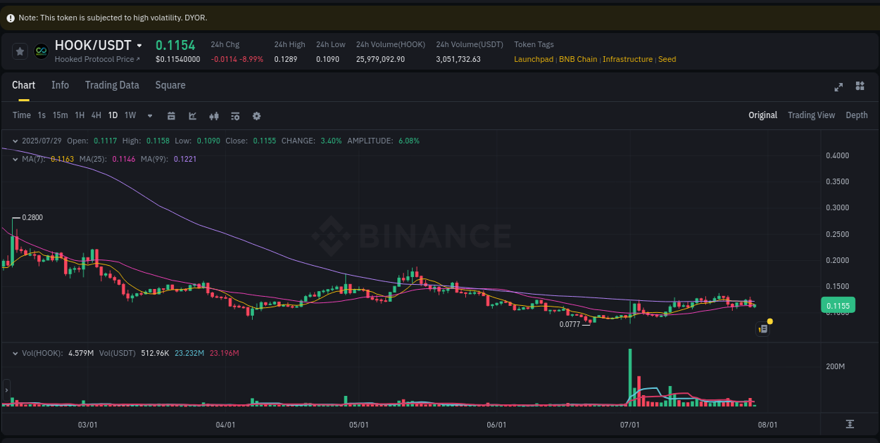 Signal validation: HOOK pump confirmation on Binance, 29 July 2025, 09:30