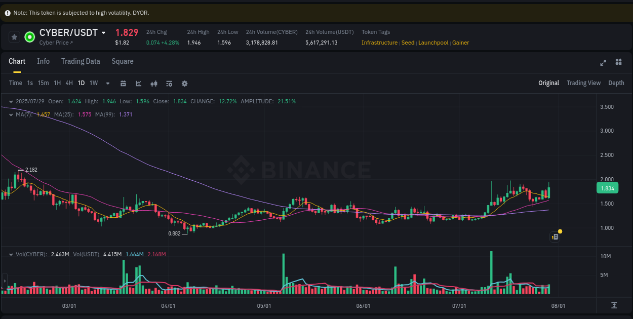 Crypto market report: CYBER pump on Binance, 29 July 2025, 12:02