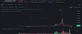 report 20250731 0006 - Report of coin pump on Binance - 31 July 2025 1