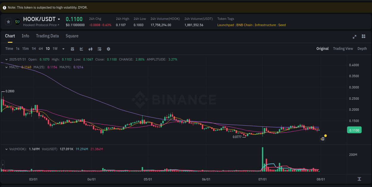 Crypto trading insights: HOOK pump on Binance, 31 July 2025, 05:54