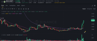 report 20250811 1114 - Report of coin pump on Binance - 11 August 2025 2