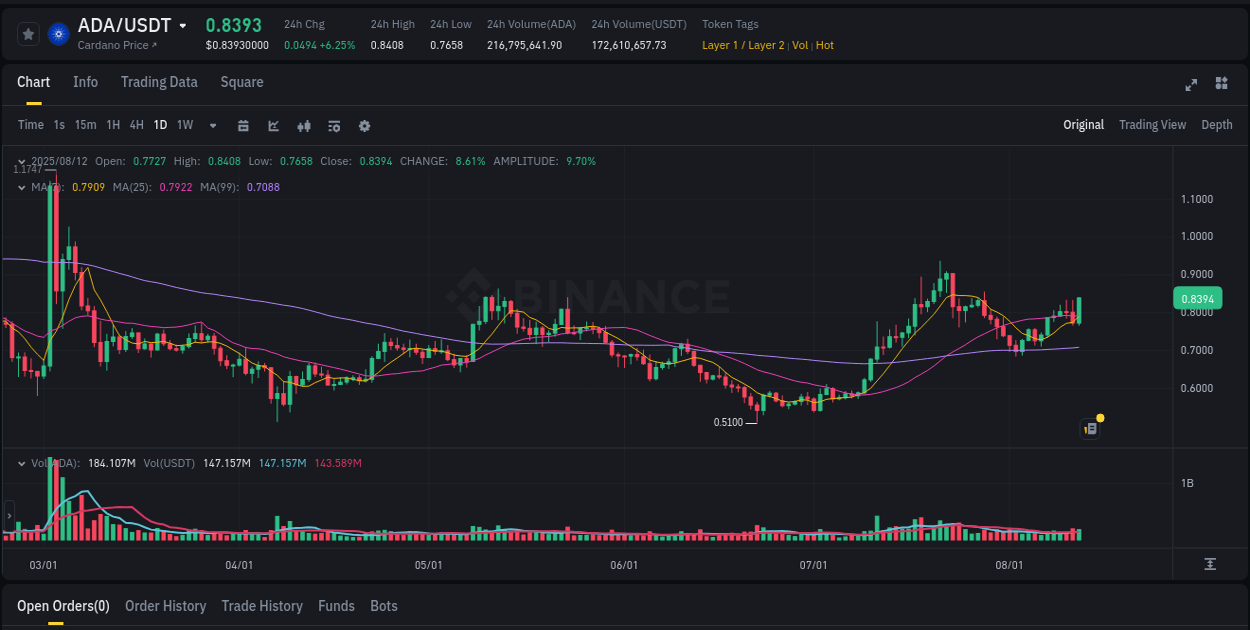 Risk management: ADA trading analysis on Binance, 12 August 2025, 20:21