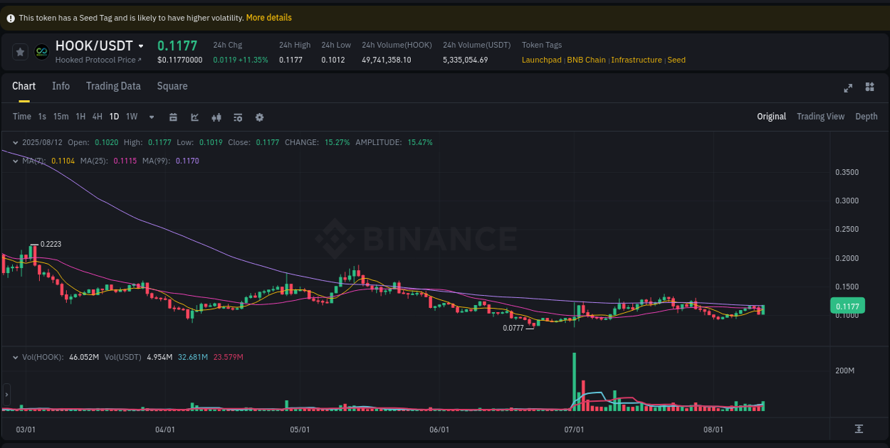 Trading insight: HOOK pump report from Binance, 12 August 2025, 22:21