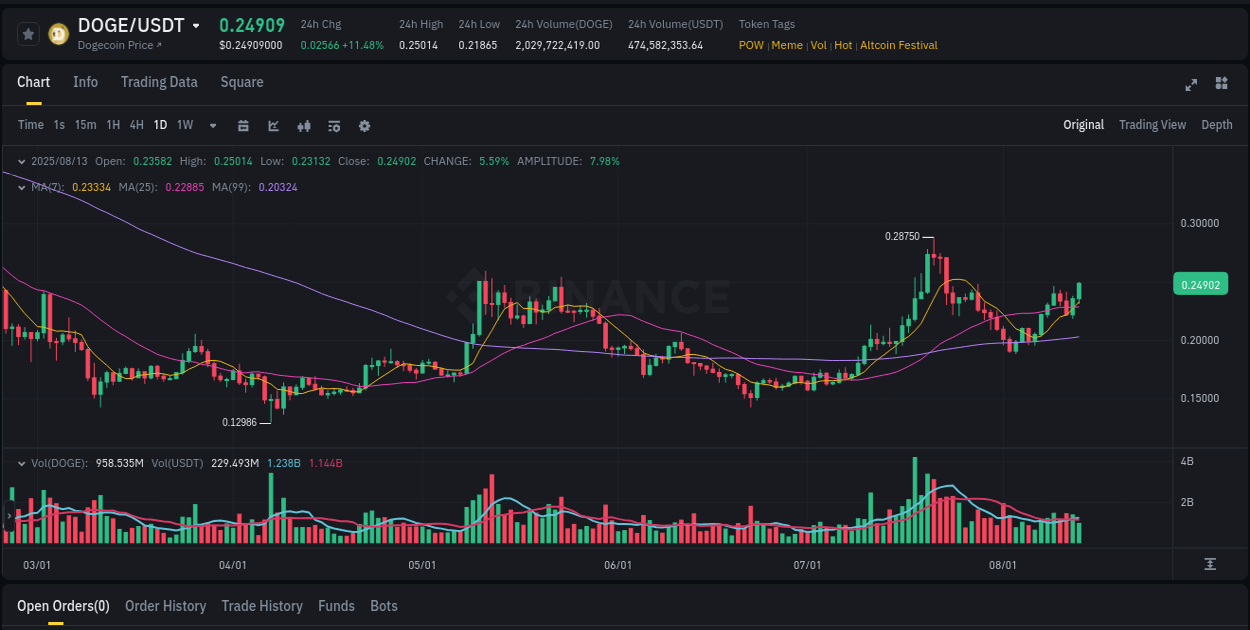 Monitor order flow: DOGE trading surge on Binance, 13 August 2025, 10:29 Order flow intelligence: DOGE pump dynamics on Binance, 13 August 2025, 10:29