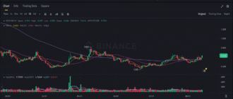 report 20250814 0009 - Report of coin pump on Binance - 14 August 2025 3