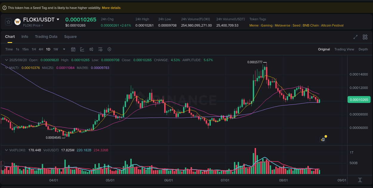 Binance pump overview for FLOKI, captured at 20 August 2025, 18:17