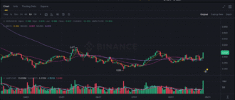 report 20250829 0141 - Report of coin pump on Binance - 29 August 2025 3