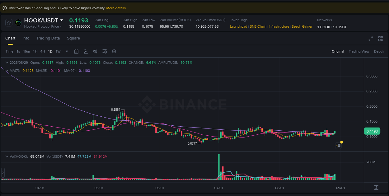 Detailed analysis of HOOK's price surge on Binance, 29 August 2025, 17:24