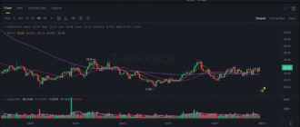 report 20250831 0001 - Report of coin pump on Binance - 31 August 2025 1