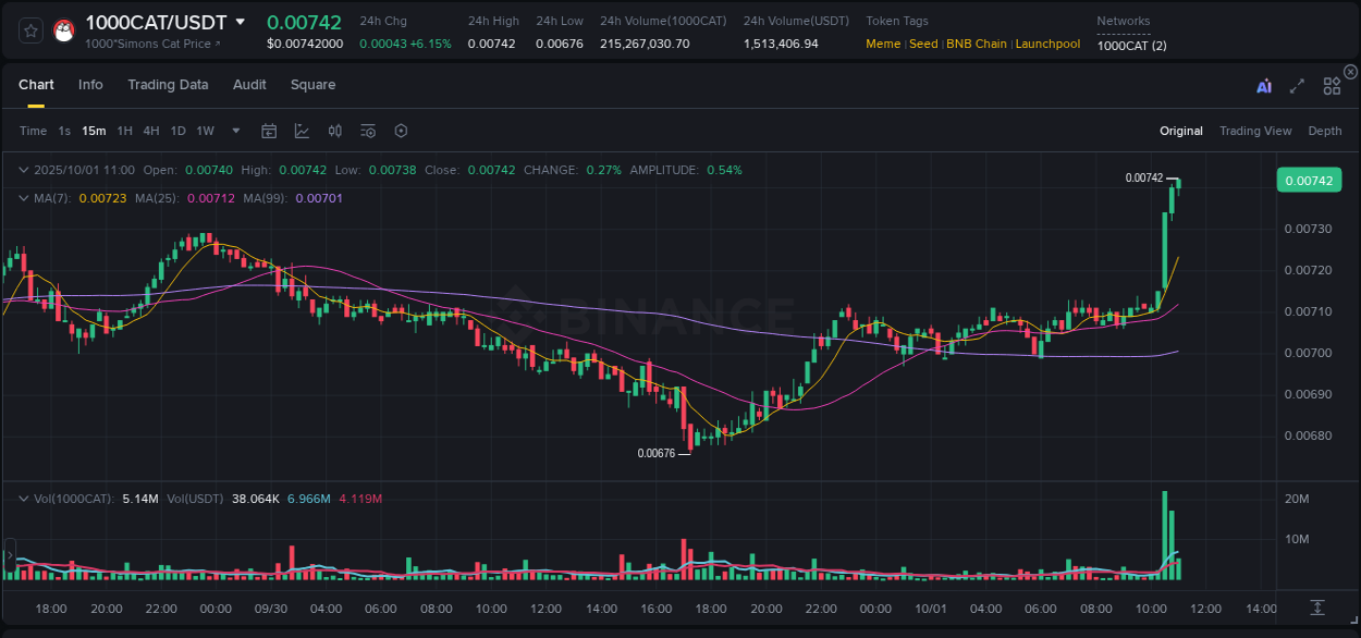 Market microstructure: 1000CAT trading surge on Binance, 01 October 2025, 11:08