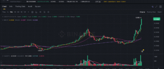 report 20251121 0216 - Report of coin pump on Binance - 21 November 2025 3