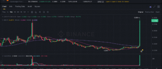 report 20251124 0204 - Report of coin pump on Binance - 24 November 2025 5