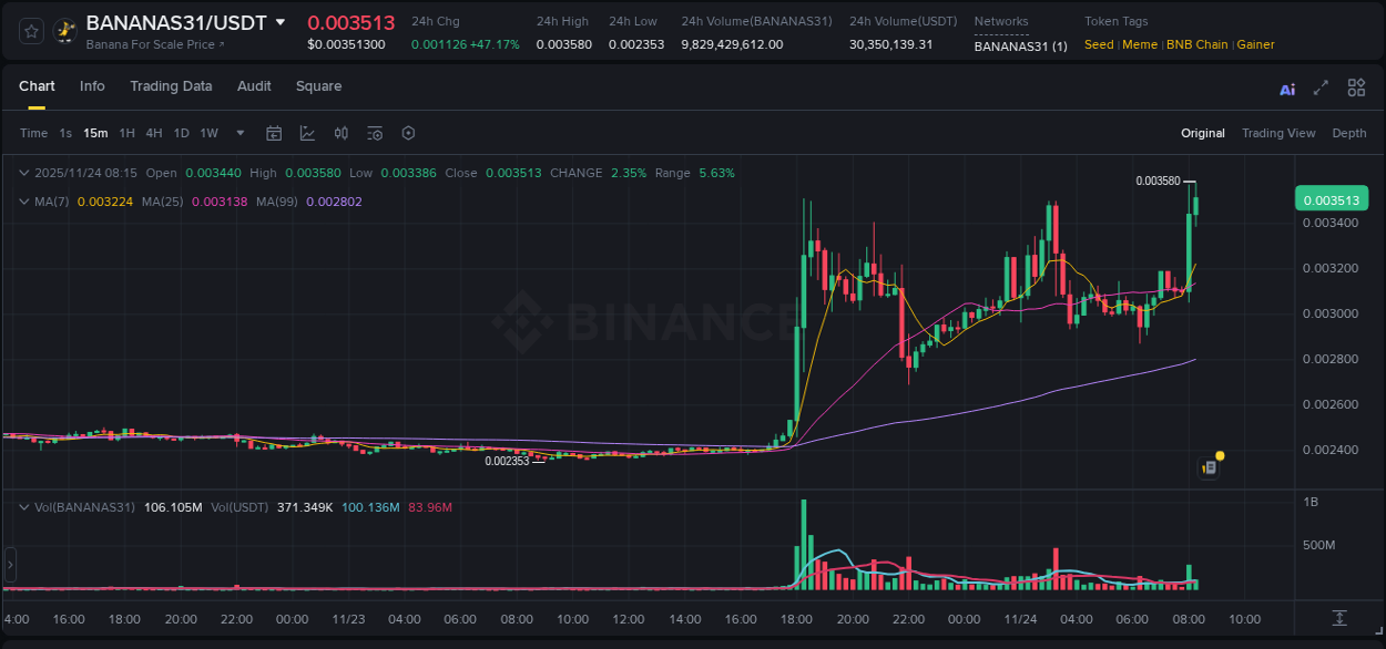Detailed report of BANANAS31's pump on Binance at 24 November 2025, 08:17