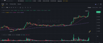 report 20251128 0229 - Report of coin pump on Binance - 28 November 2025 5