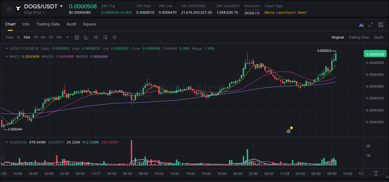Binance pump report for DOGS on 28 November 2025, 08:35