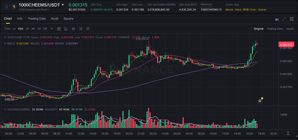 Binance pump data for 1000CHEEMS at 06 December 2025, 17:20 Binance pump data for 1000CHEEMS at 06 December 2025, 17:20