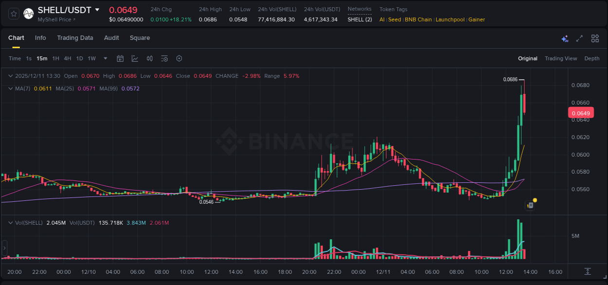 Detailed report of SHELL's pump on Binance at 11 December 2025, 13:30