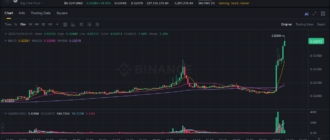 report 20251229 0316 - Report of coin pump on Binance - 29 December 2025 2