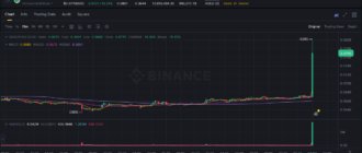 report 20260102 0211 - Report of coin pump on Binance - 02 January 2026 4