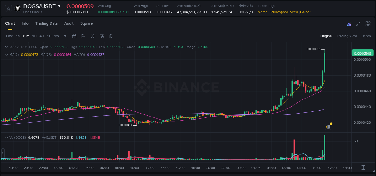 Binance pump report for DOGS on 04 January 2026, 11:13