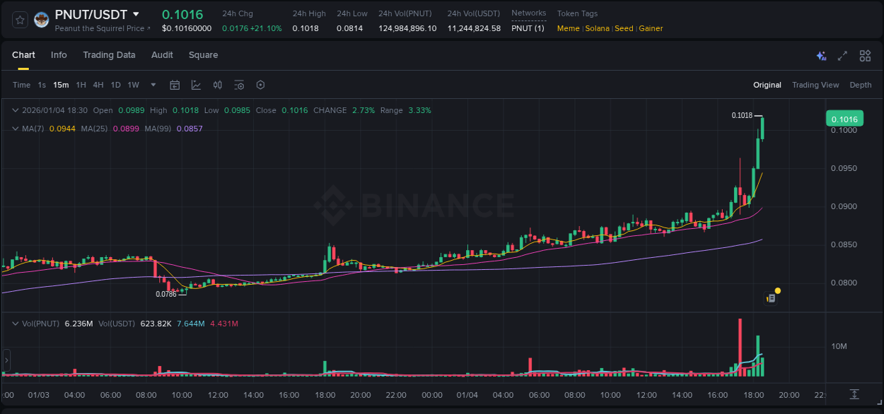 Market movement report: PNUT on Binance at 04 January 2026, 18:23